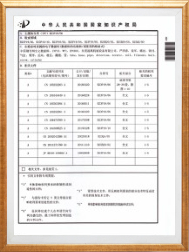 Evaluation of Patent Intellectual Property